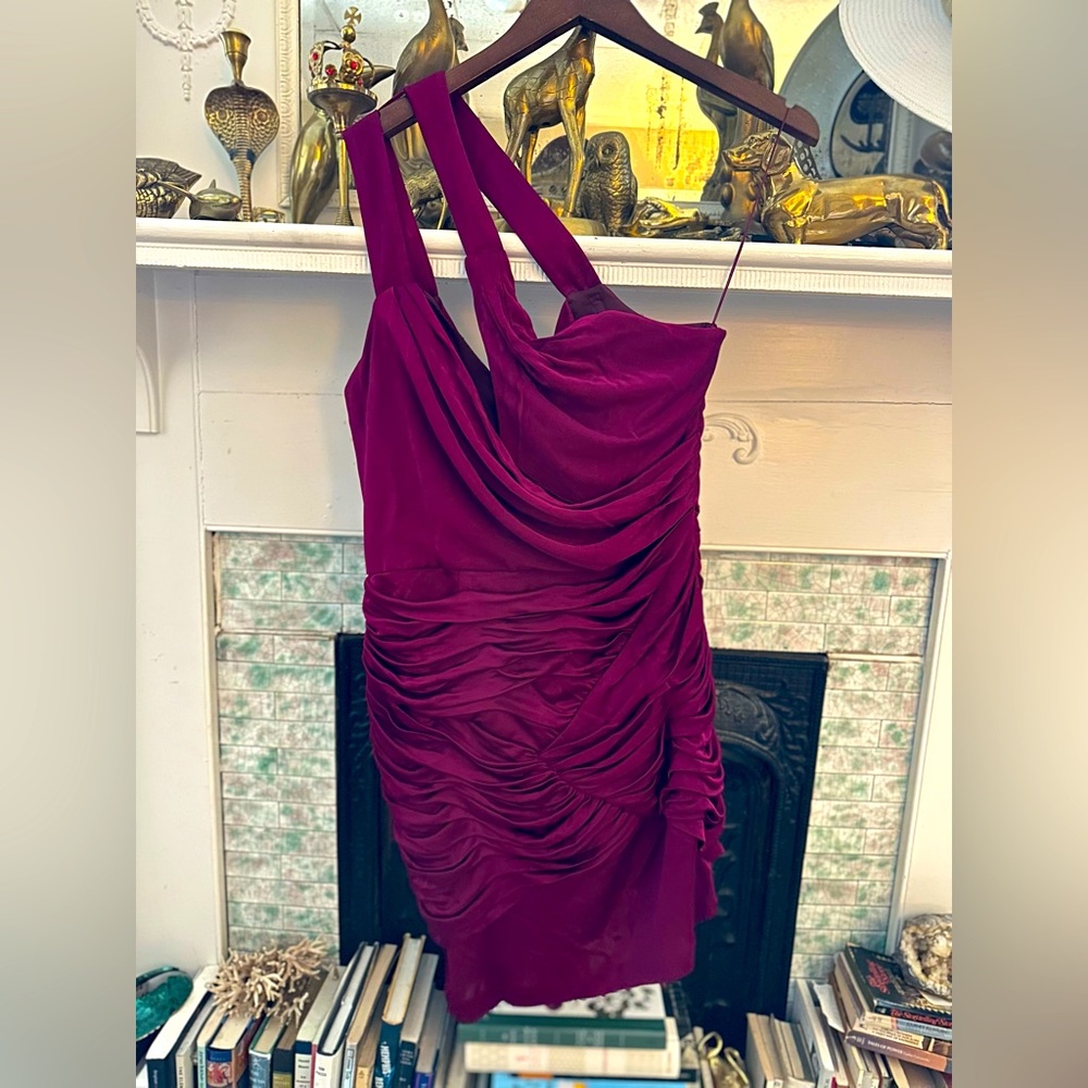 Fitted Raspberry Dress with Ruching